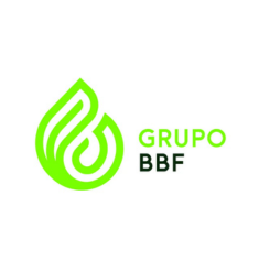 Grupo BBF.png